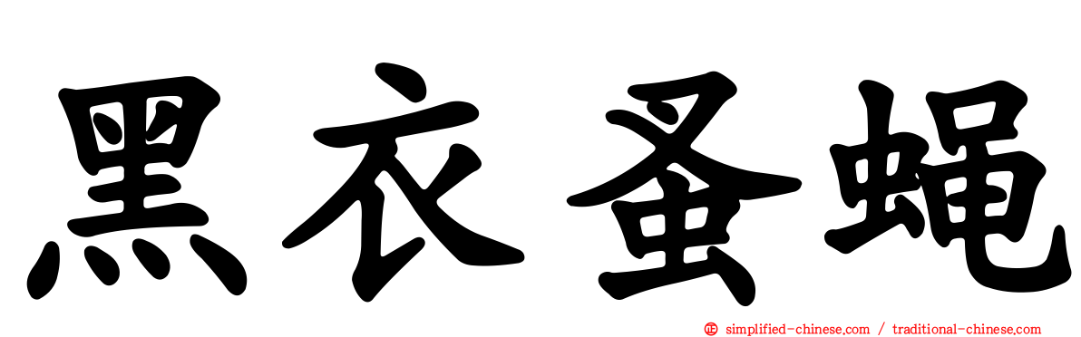 黑衣蚤蝇