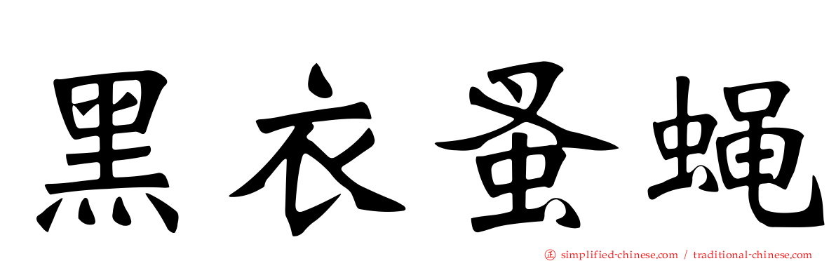 黑衣蚤蝇