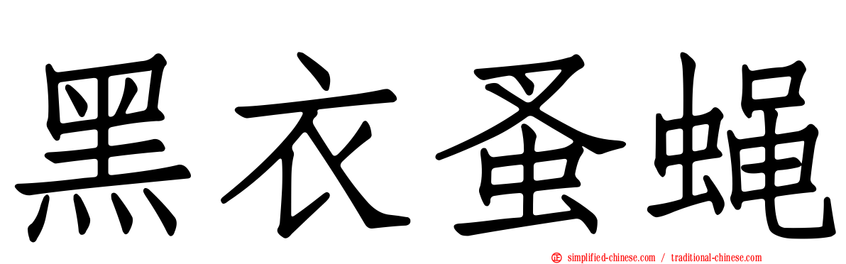 黑衣蚤蝇