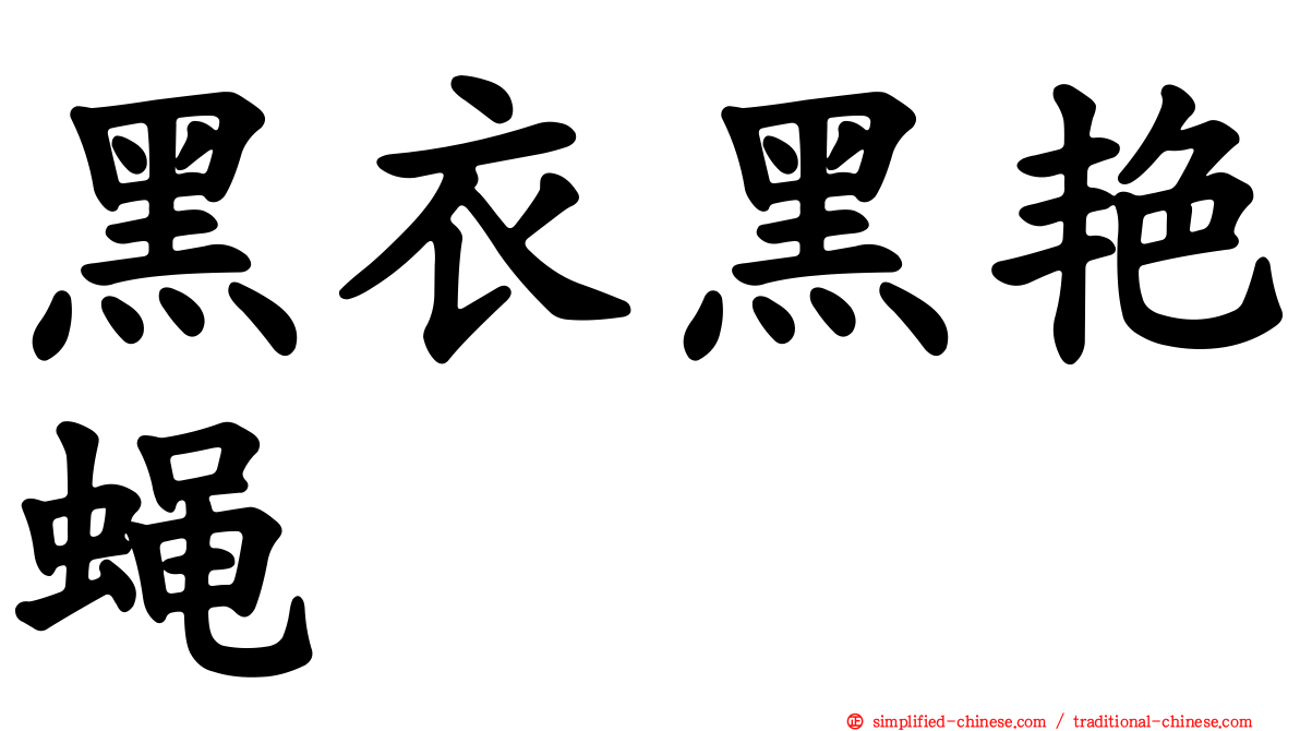 黑衣黑艳蝇