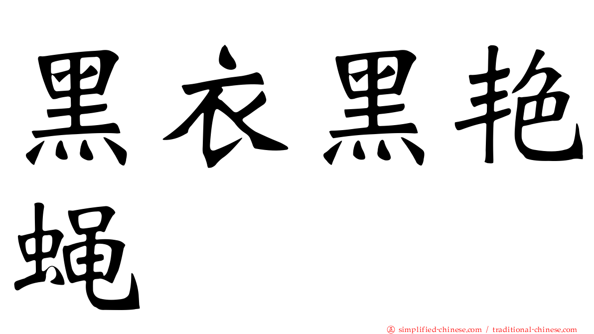 黑衣黑艳蝇