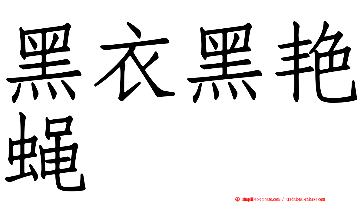 黑衣黑艳蝇