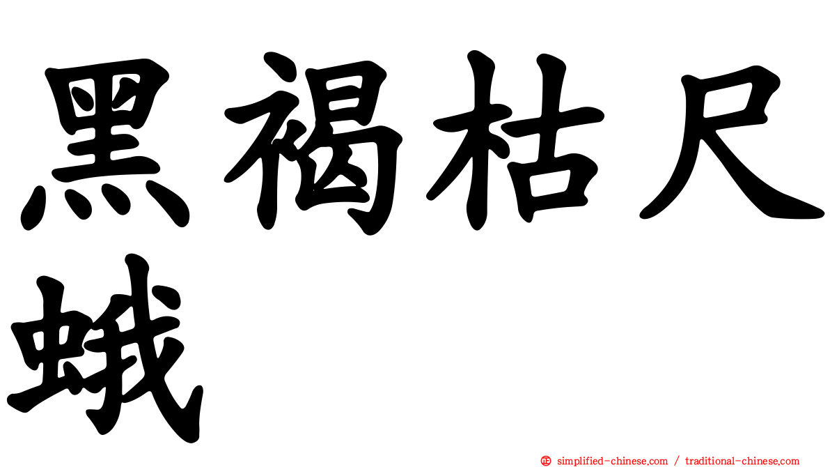 黑褐枯尺蛾