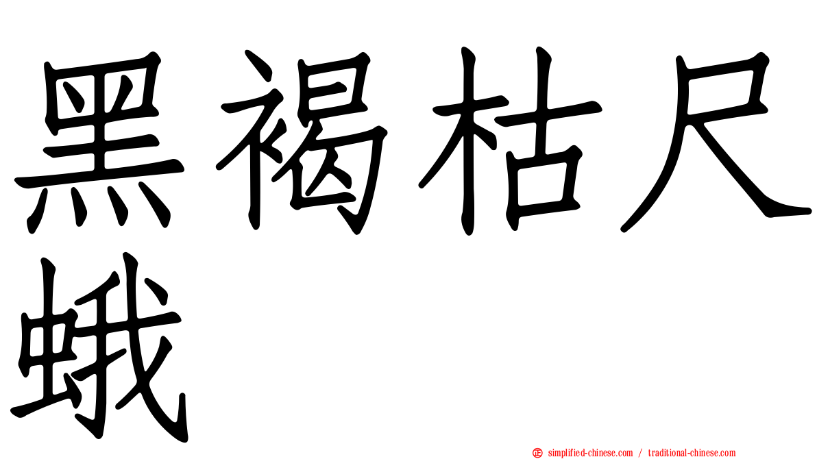 黑褐枯尺蛾