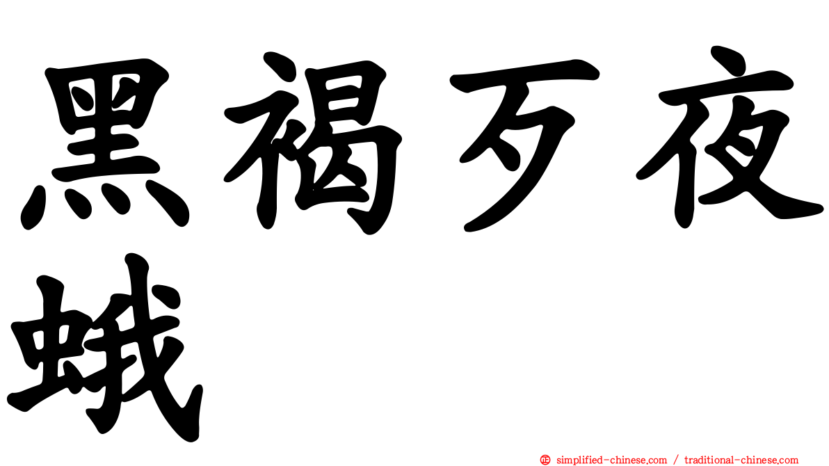 黑褐歹夜蛾