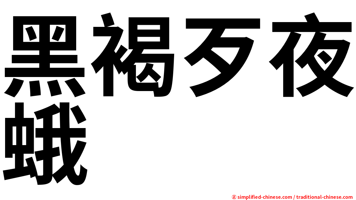 黑褐歹夜蛾