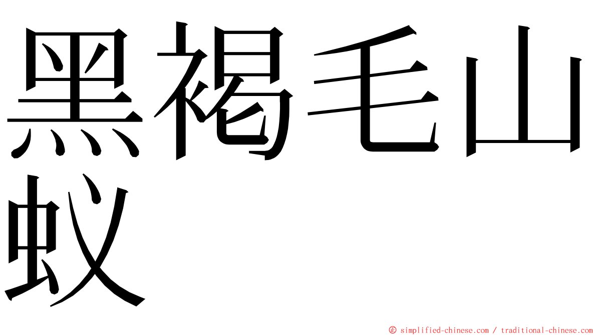 黑褐毛山蚁 ming font