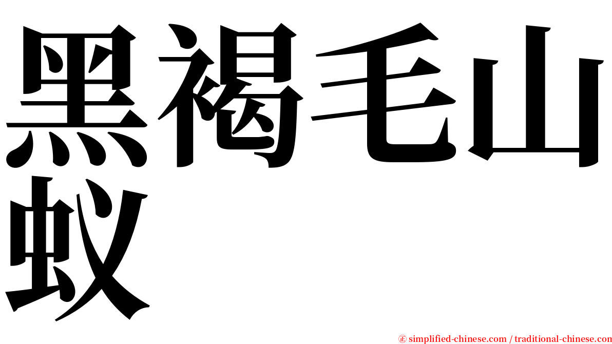 黑褐毛山蚁 serif font