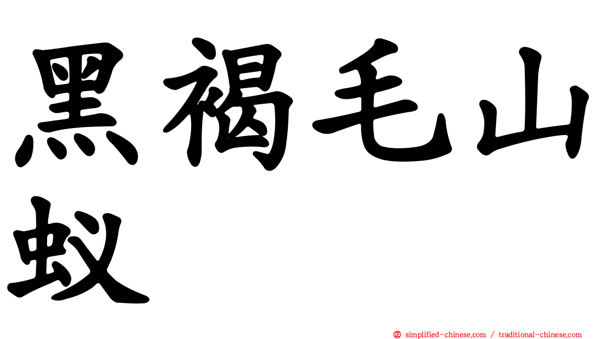 黑褐毛山蚁