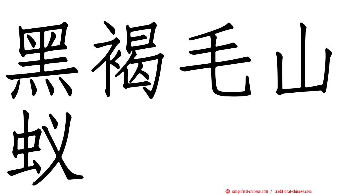黑褐毛山蚁