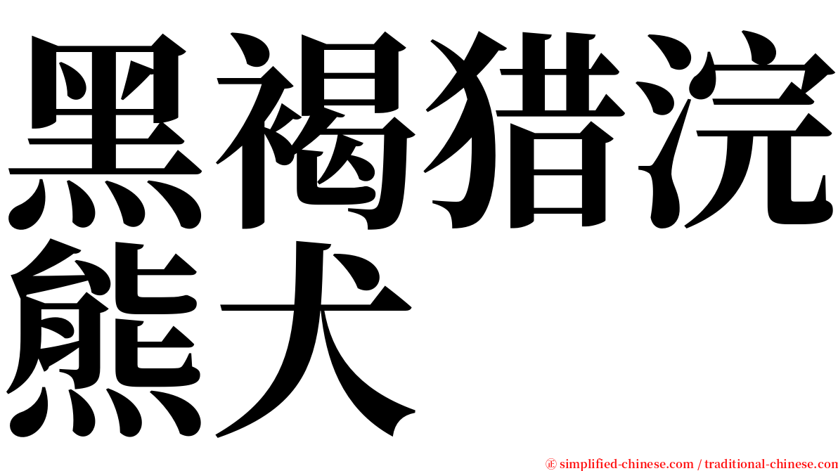 黑褐猎浣熊犬 serif font