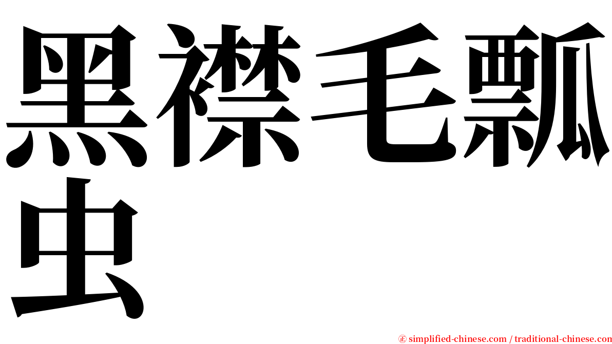 黑襟毛瓢虫 serif font