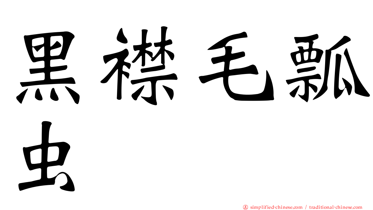 黑襟毛瓢虫