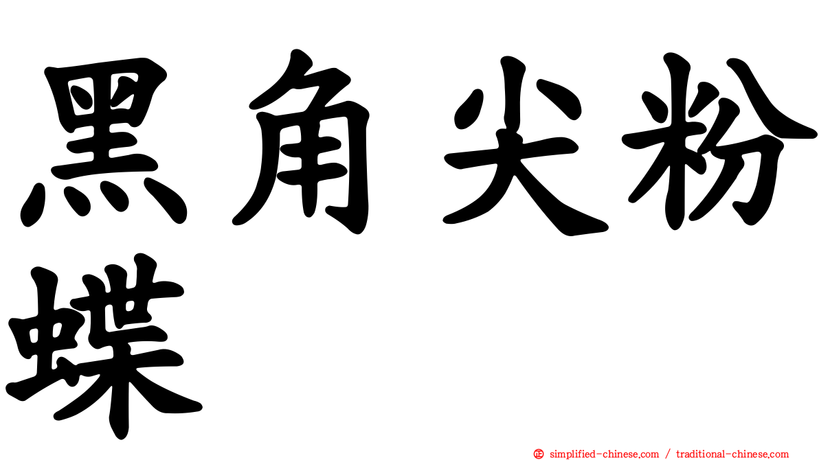 黑角尖粉蝶
