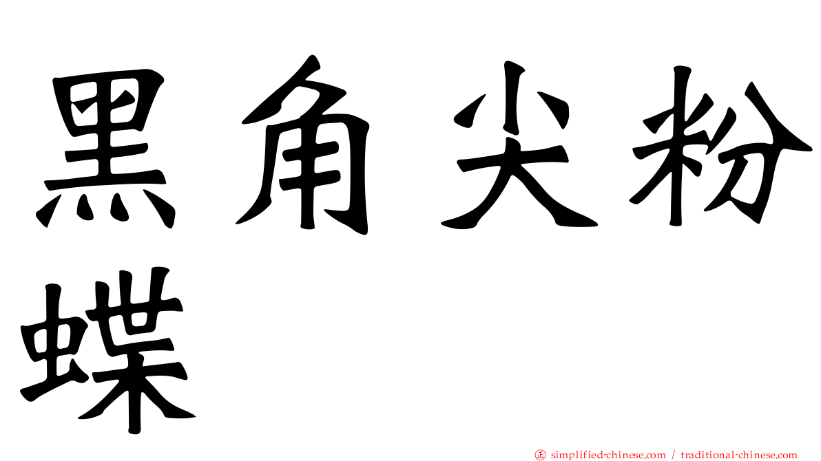 黑角尖粉蝶