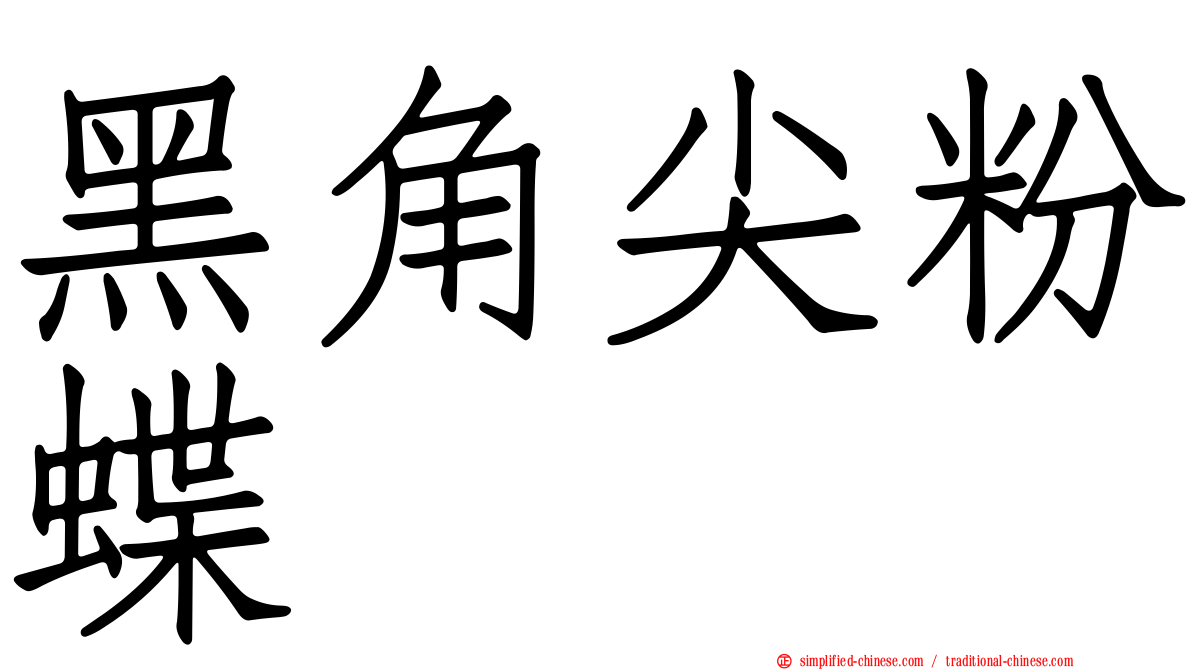 黑角尖粉蝶