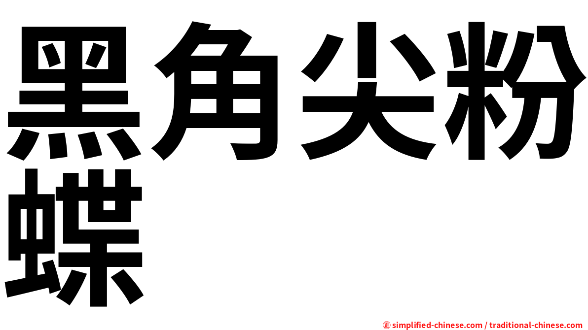 黑角尖粉蝶