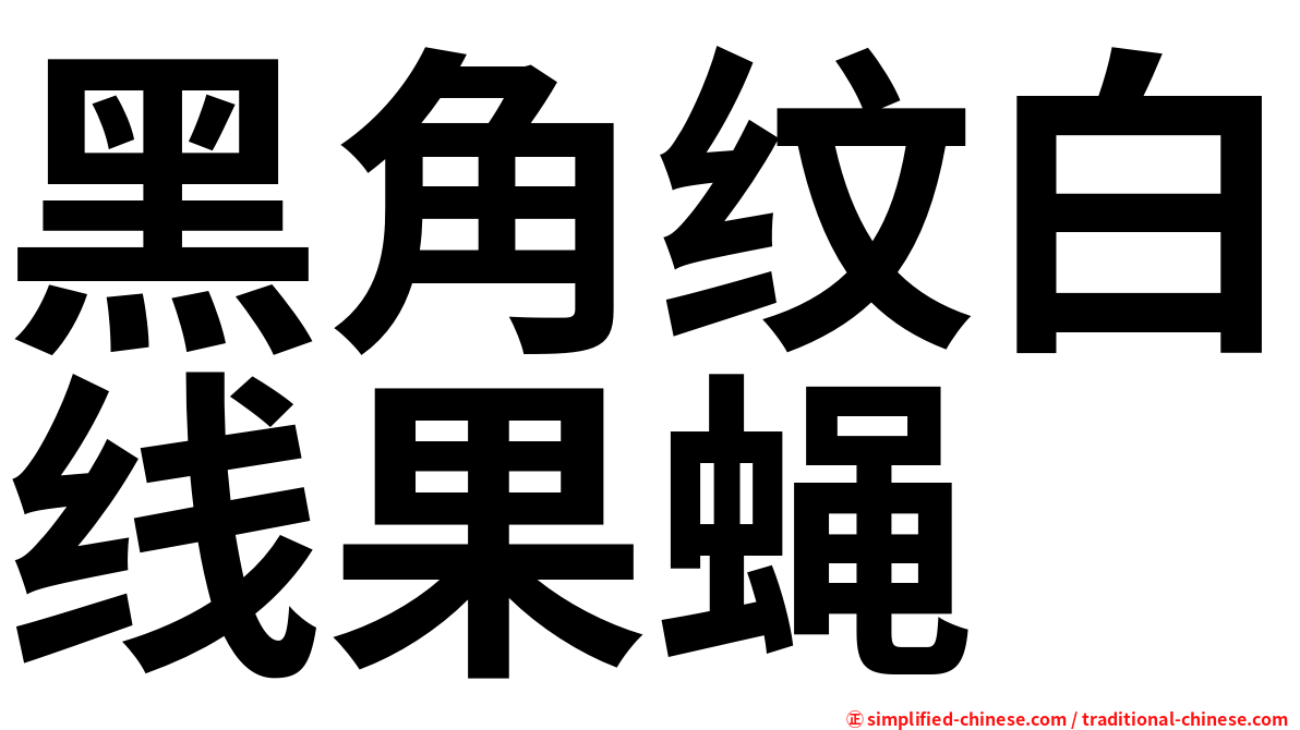 黑角纹白线果蝇