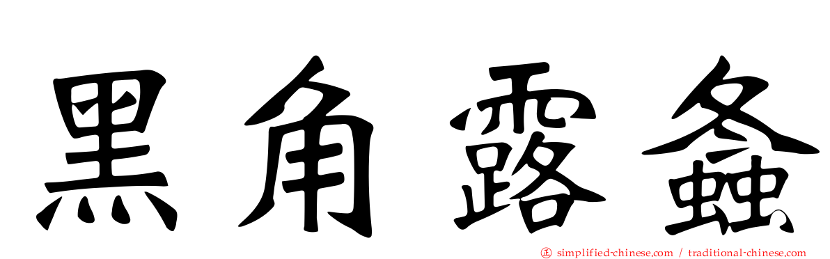 黑角露螽