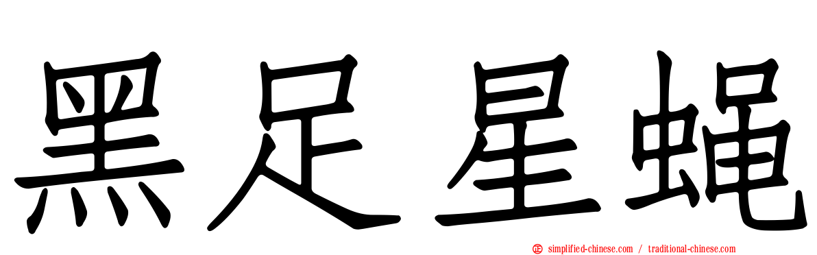 黑足星蝇