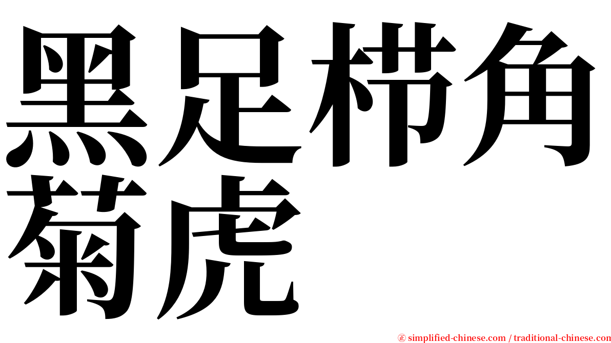 黑足栉角菊虎 serif font