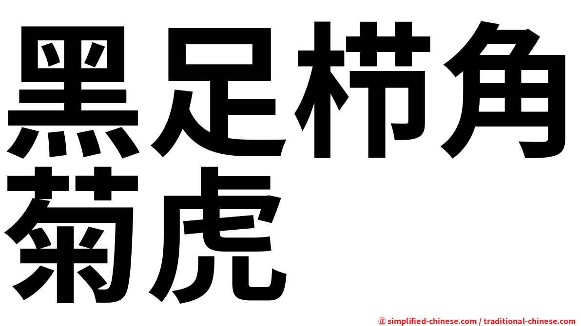 黑足栉角菊虎