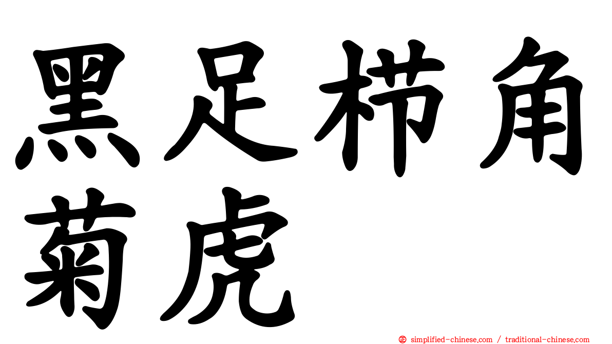 黑足栉角菊虎