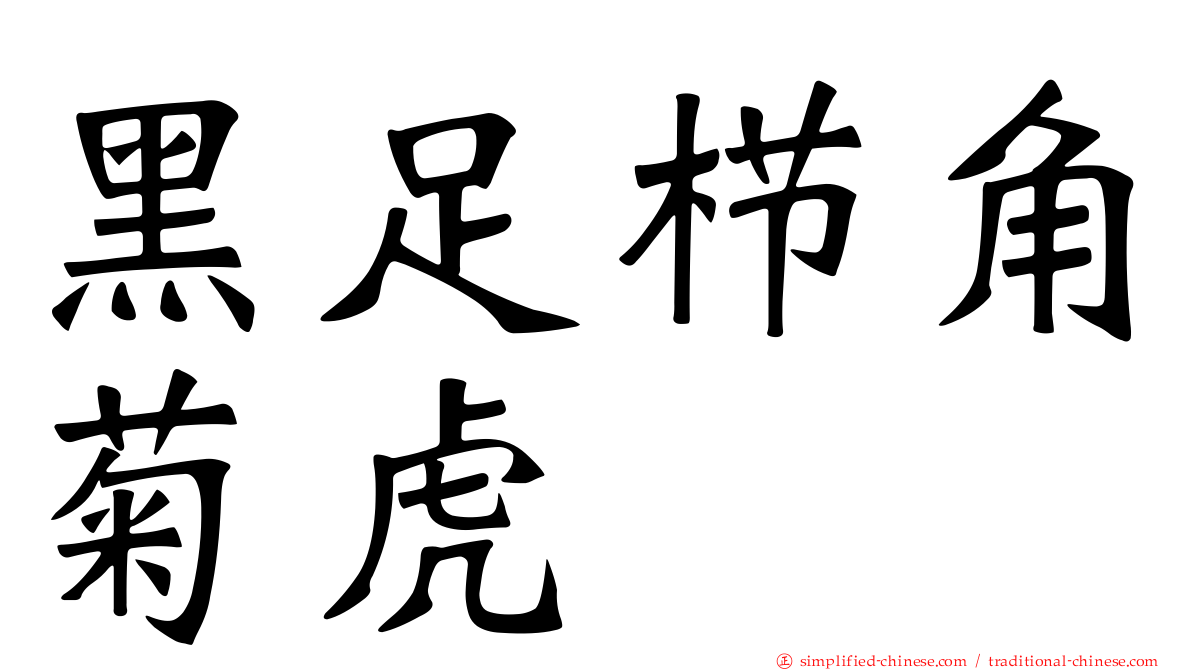黑足栉角菊虎
