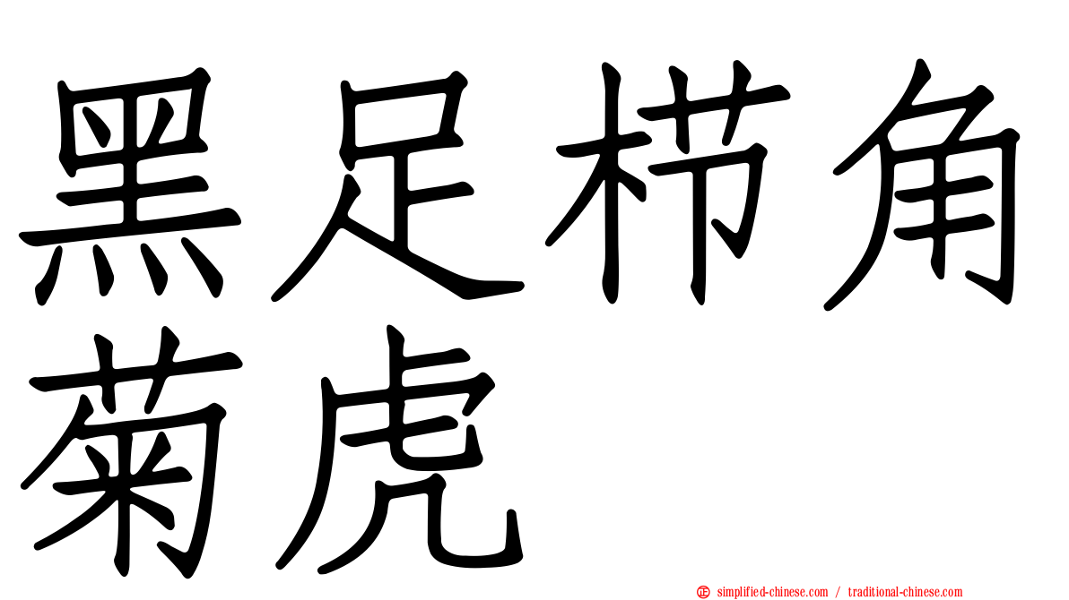 黑足栉角菊虎