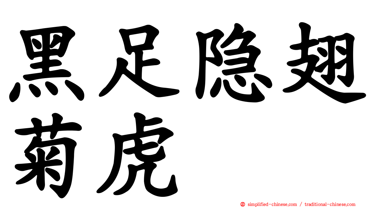 黑足隐翅菊虎