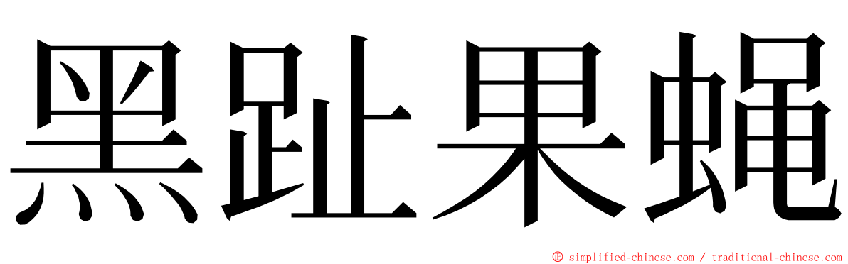 黑趾果蝇 ming font
