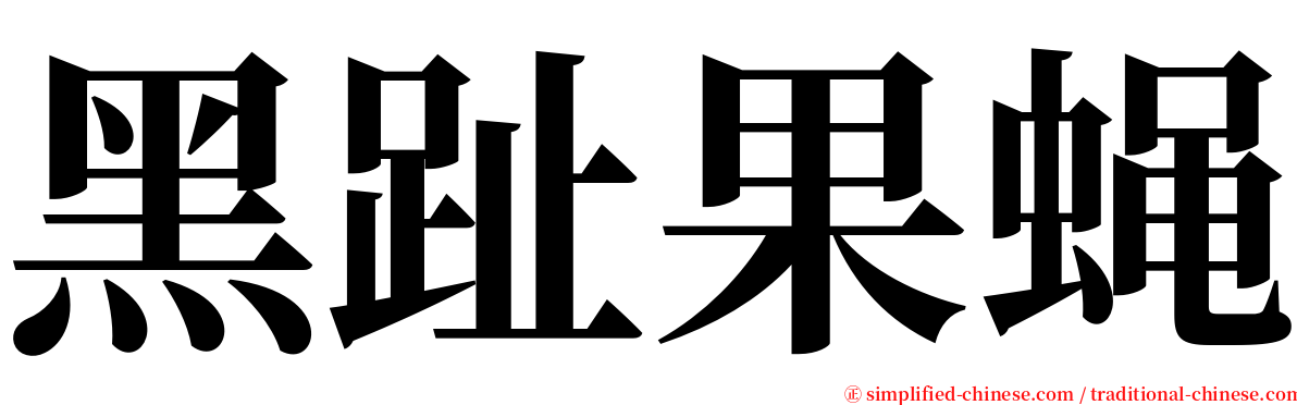 黑趾果蝇 serif font