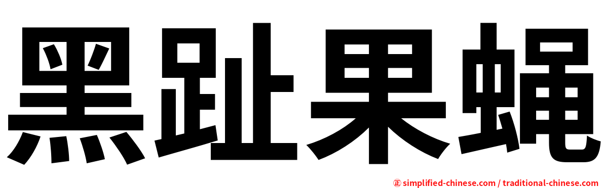 黑趾果蝇