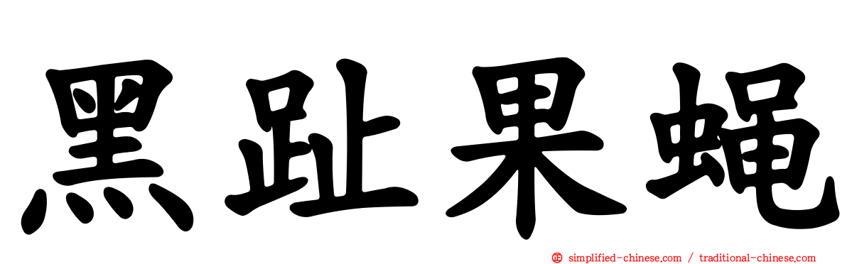 黑趾果蝇