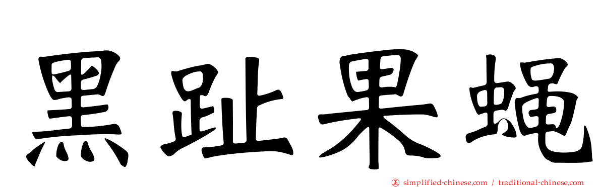 黑趾果蝇