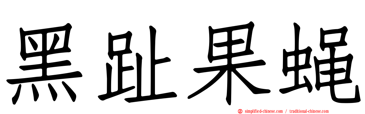黑趾果蝇