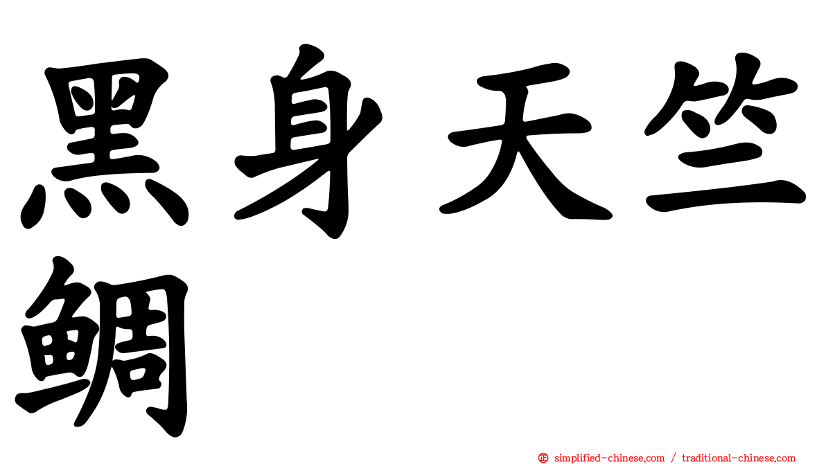 黑身天竺鲷