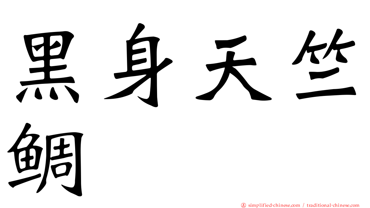 黑身天竺鲷