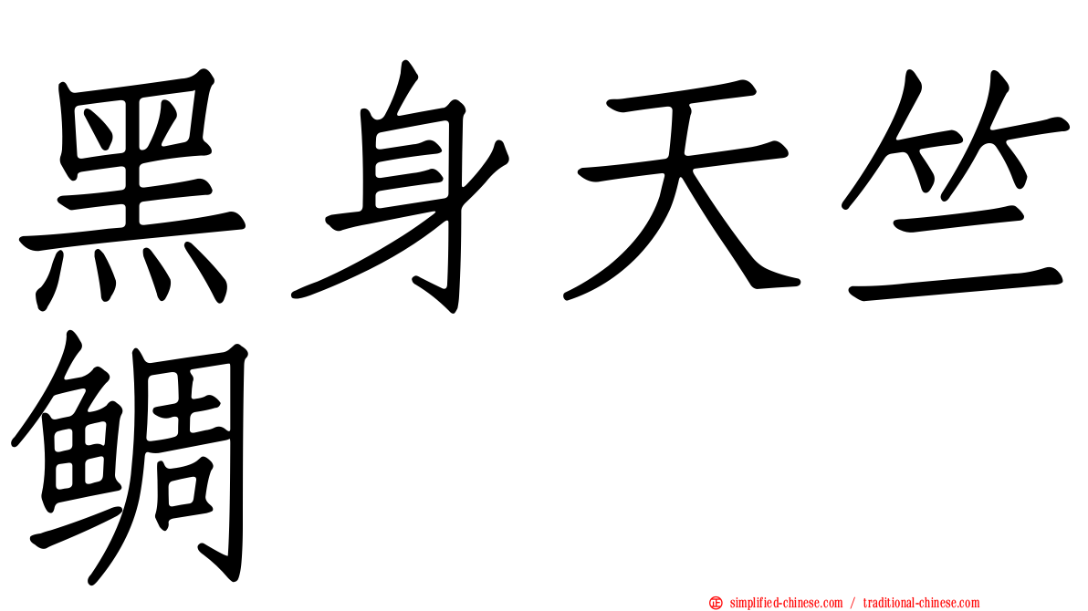 黑身天竺鲷