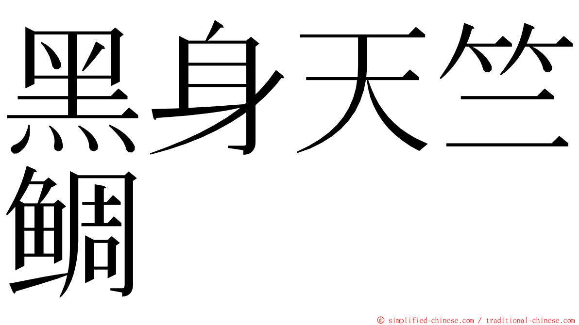 黑身天竺鲷 ming font