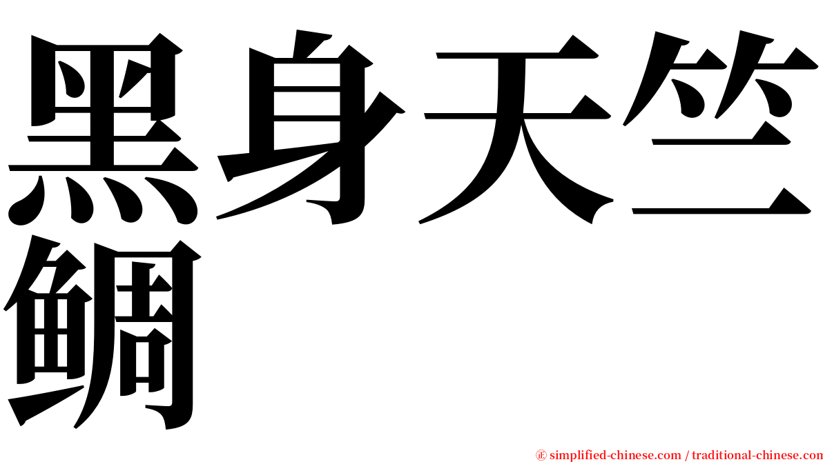 黑身天竺鲷 serif font
