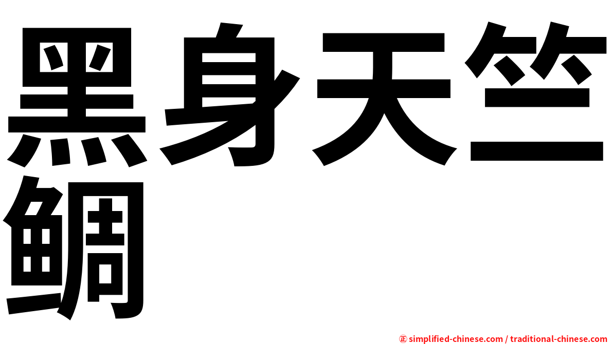 黑身天竺鲷