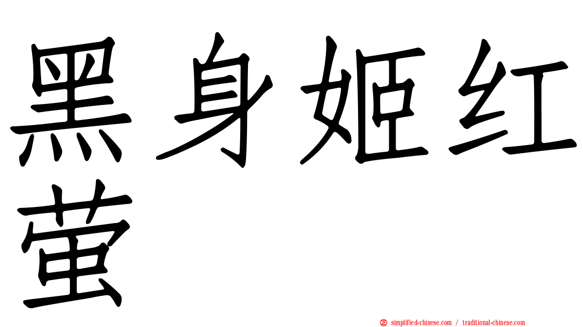 黑身姬红萤