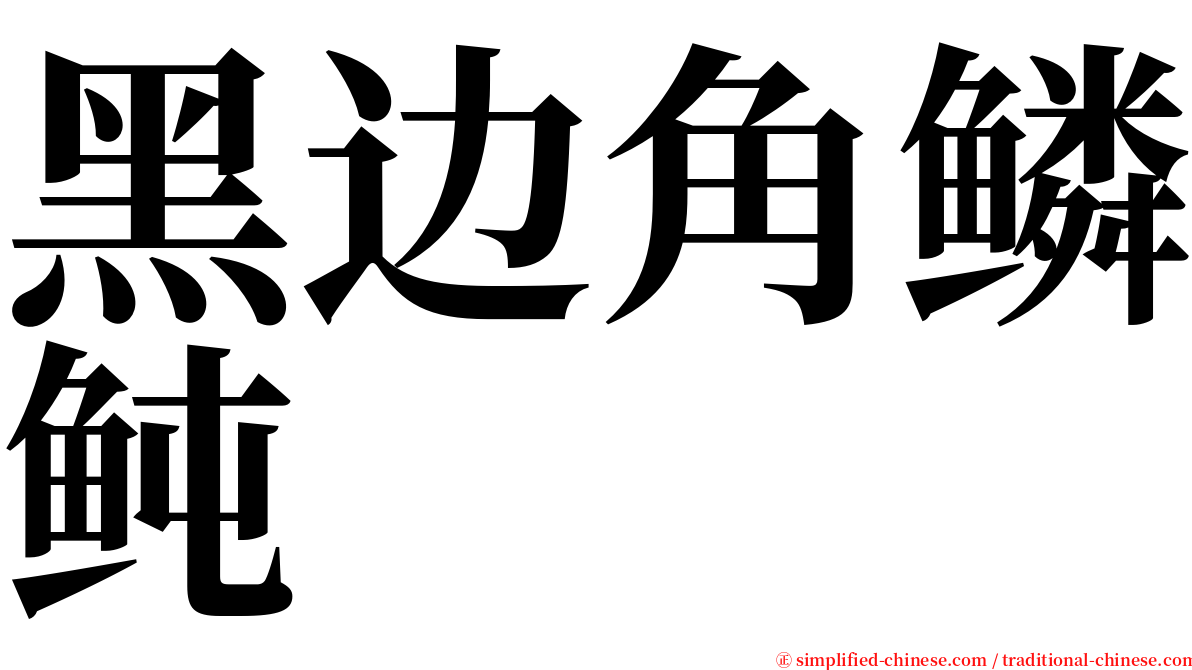 黑边角鳞鲀 serif font