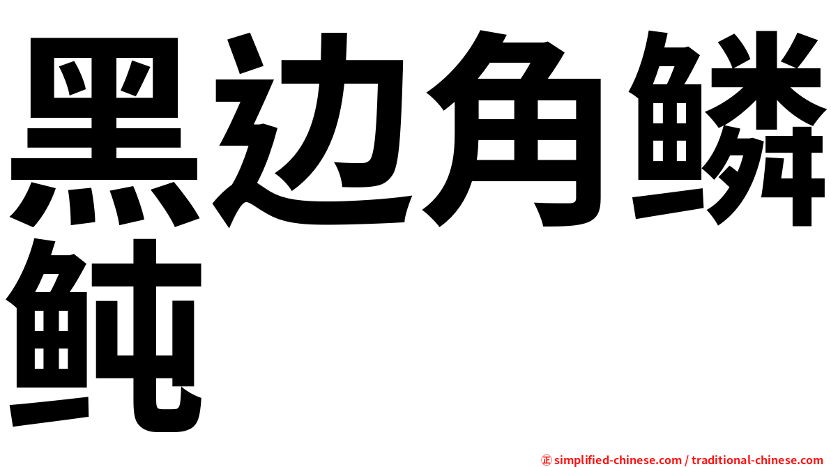 黑边角鳞鲀
