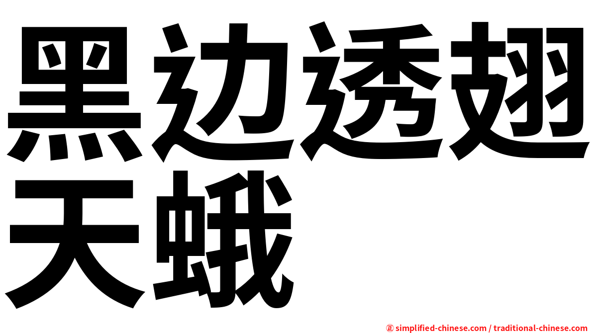 黑边透翅天蛾