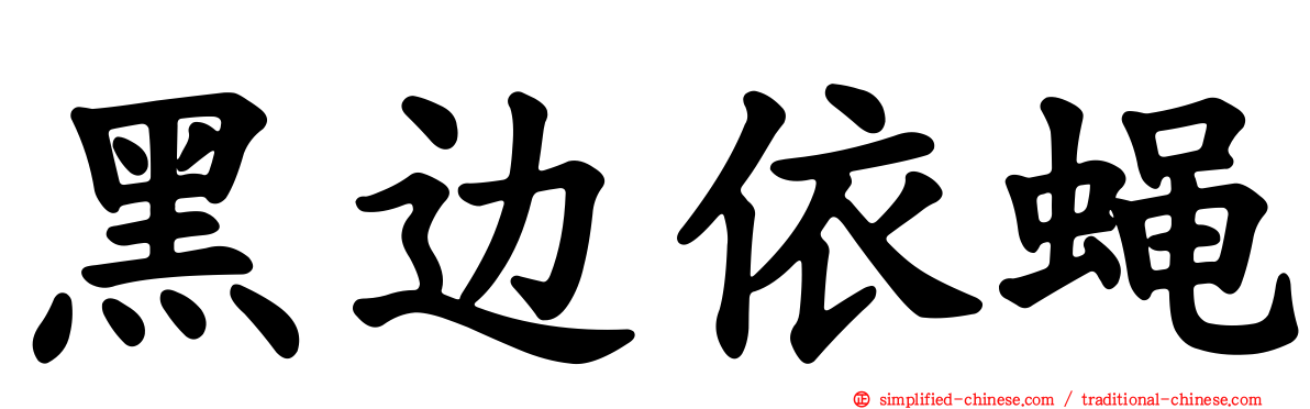 黑边依蝇