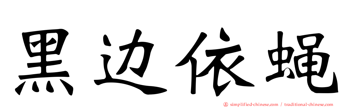 黑边依蝇