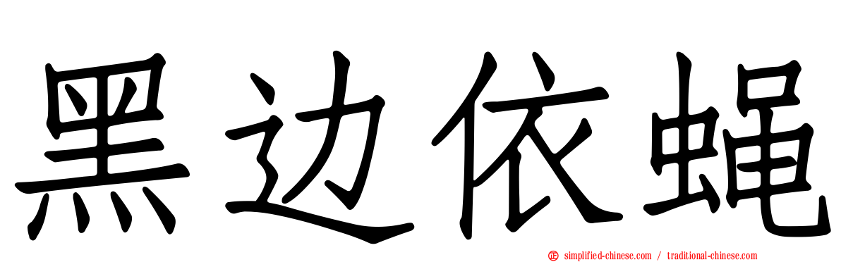 黑边依蝇