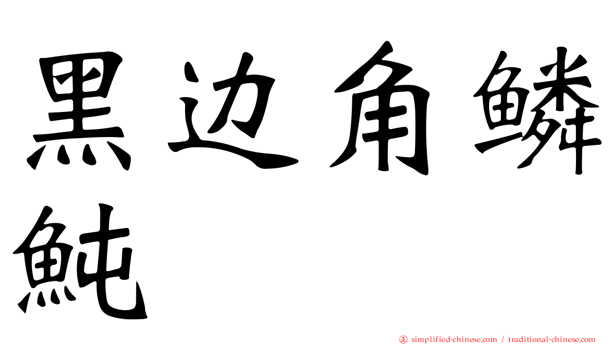 黑边角鳞鲀